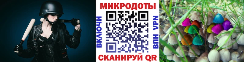 блэк спрут ссылка  Ставрополь  Псилоцибиновые грибы мицелий 