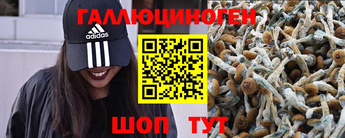 Ставрополь  Псилоцибиновые грибы Magic Shrooms  Галлюциногенные грибы мицелий  Вход с VPN 