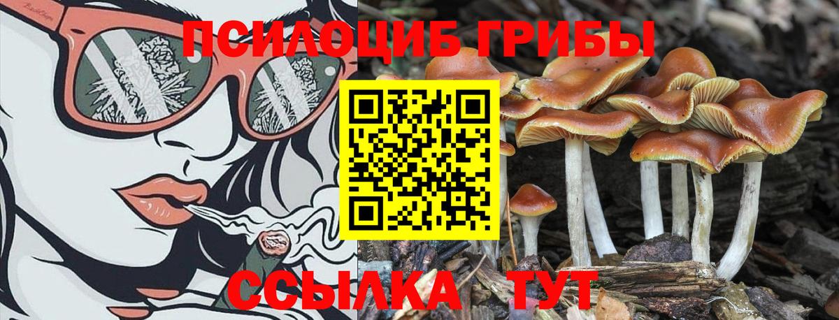 Галлюциногенные грибы MAGIC MUSHROOMS Ставрополь